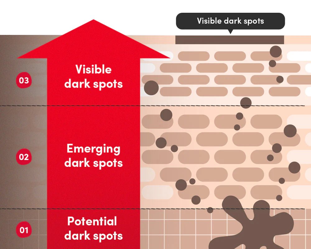 Eqqualberry - Vitamin Illuminating SerumEqqualberryBarehug