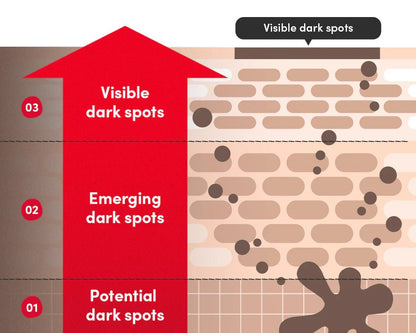 Eqqualberry - Vitamin Illuminating SerumEqqualberryBarehug