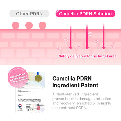 Diagram of Camellia PDRN solution delivery with patent information on a pink background