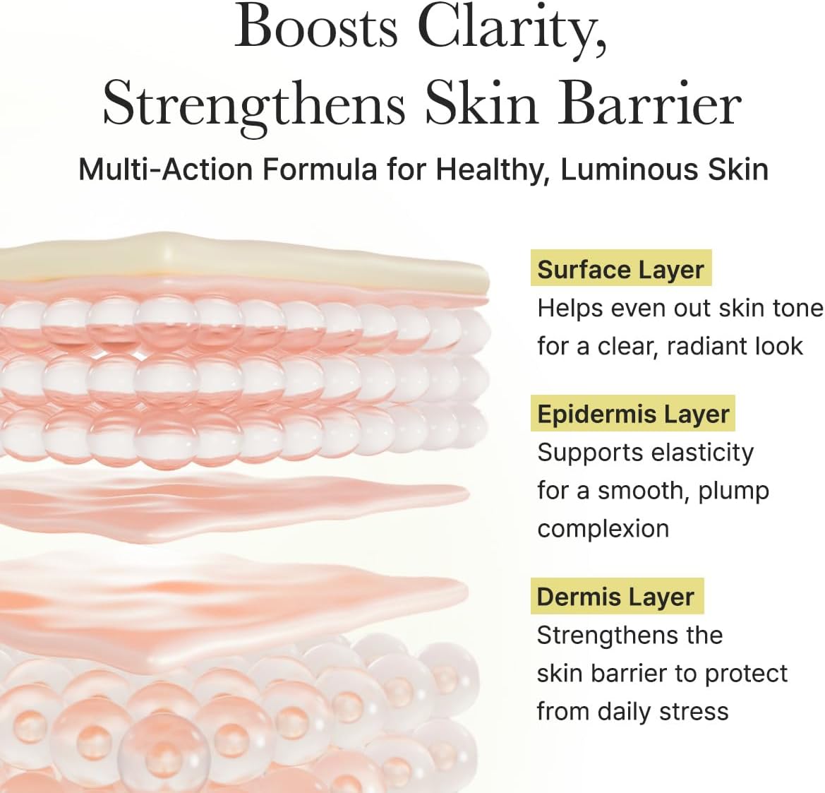 Diagram of skin layers with text about skincare benefits
