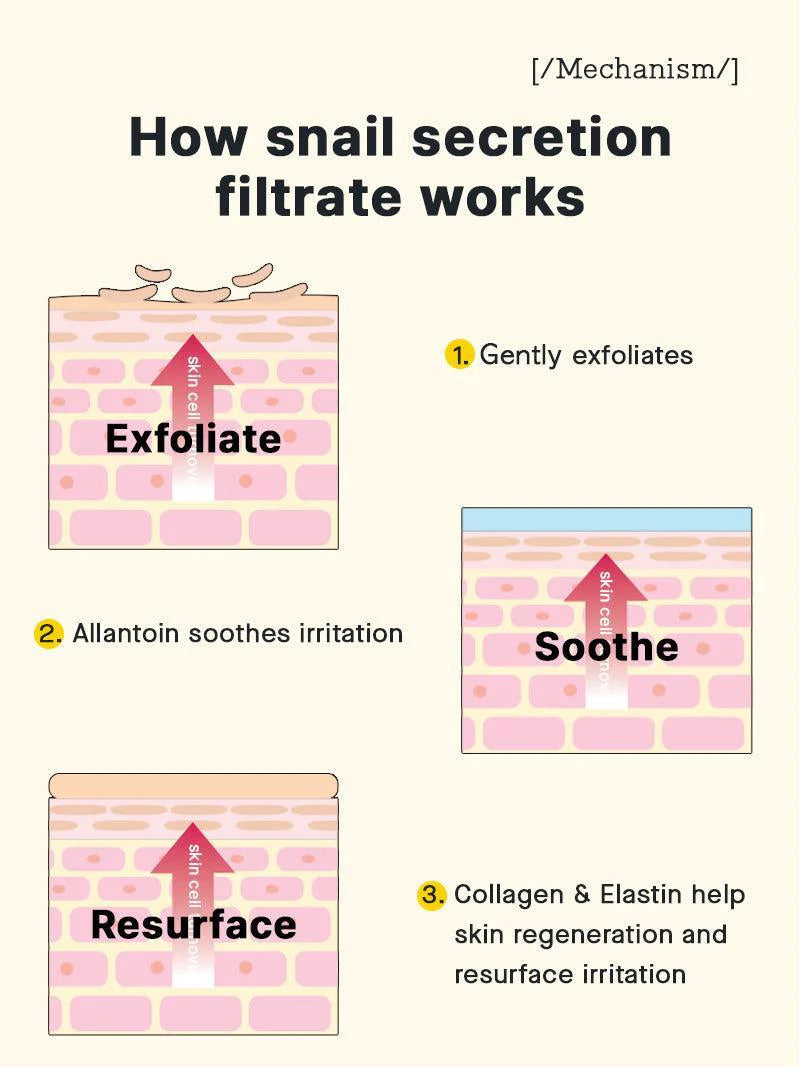 Diagram explaining how snail secretion filtrate works on skin with exfoliation, soothing, and resurfacing processes.