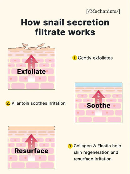Diagram explaining how snail secretion filtrate works on skin with exfoliation, soothing, and resurfacing processes.